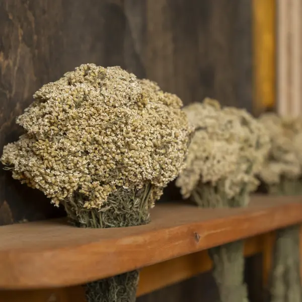 Травы для бани Woodson, тысячелистник